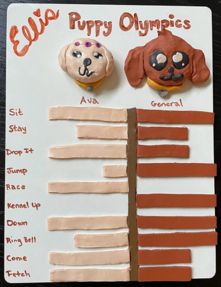 A bar chart made out of clay identifying the winners of the puppy olympics