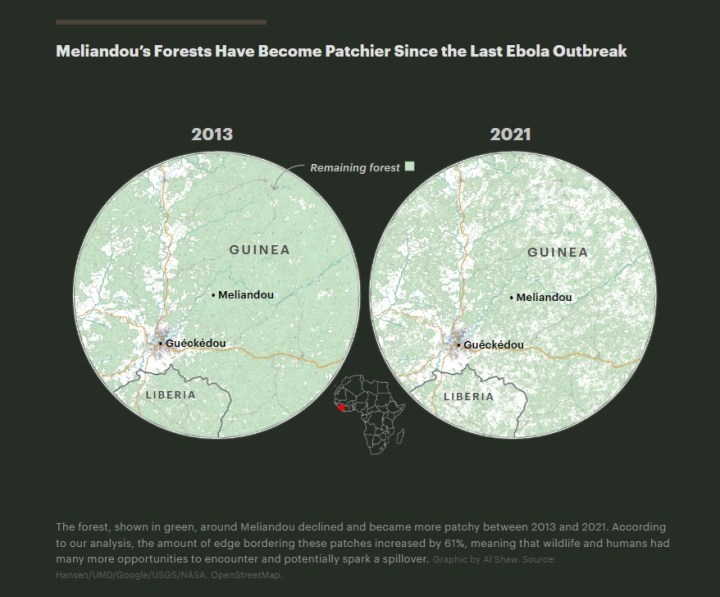 Two maps, from 2013 and 2021, showing the deforestation of Meliandou’s Forests in Africa.