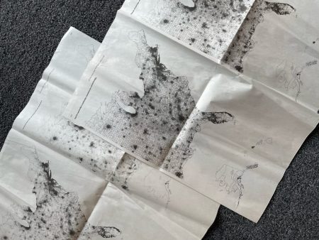 Pages of the New York Times with maps of the United States filled with dots of varying densities. Some maps have county lines, others have state lines.