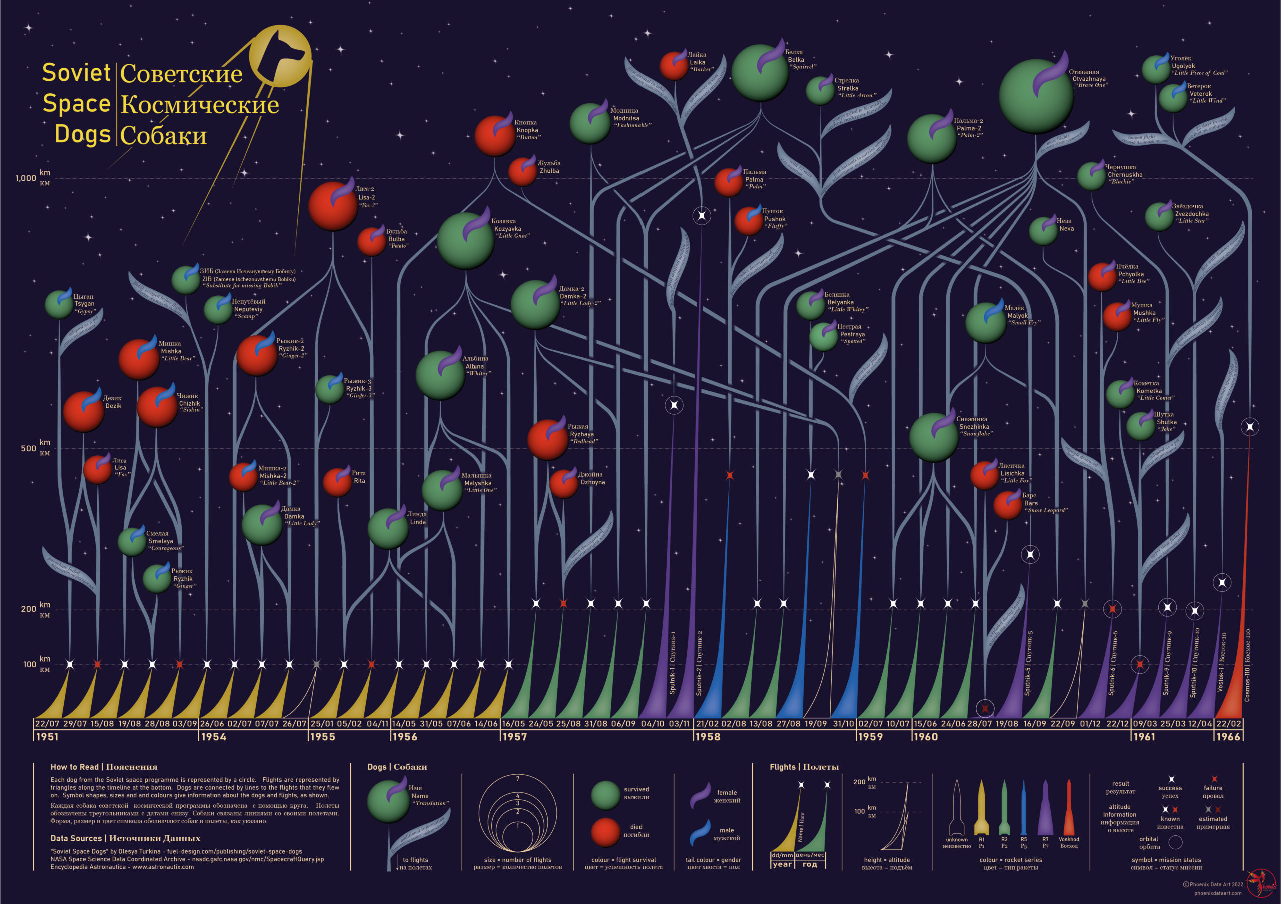 A data visualisation showing the flights and fates of the Soviet Space Dogs. Each dog is represented by a circle. Circle size shows the number of flights they undertook and circle colour indicates whether they survived, while a coloured tail shows the gender of the dog. Flights are represented by triangles along a timeline at the bottom. Triangle height shows the flight altitude and triangle colour shows the rocket type used. Dogs are connected by lines to the flights that they flew on.