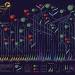 A data visualisation showing the flights and fates of the Soviet Space Dogs. Each dog is represented by a circle. Circle size shows the number of flights they undertook and circle colour indicates whether they survived, while a coloured tail shows the gender of the dog. Flights are represented by triangles along a timeline at the bottom. Triangle height shows the flight altitude and triangle colour shows the rocket type used. Dogs are connected by lines to the flights that they flew on.