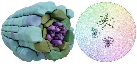 A circle filled with colors with different amounts of plotted points near each color.