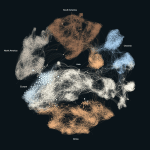 Cohabitation network (a collection of circled nodes connected by lines) where each node is a mammal. There are 5,286 nodes and 62,385 edges colored by the continent of the animal's primary habitat. The colors are shades of browns, blues and grays. The nodes are more clustered by color here than in the country-level network.