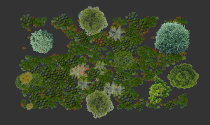 A video simulation of forest growth.