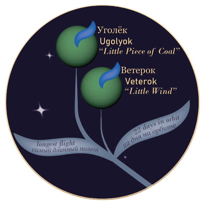 An enlarged section of the visualisation showing Ugolyok (meaning “little piece of coal”) and Veterok (meaning “little wind”).  Additional information text reads: “longest flight” and “22 days in orbit."